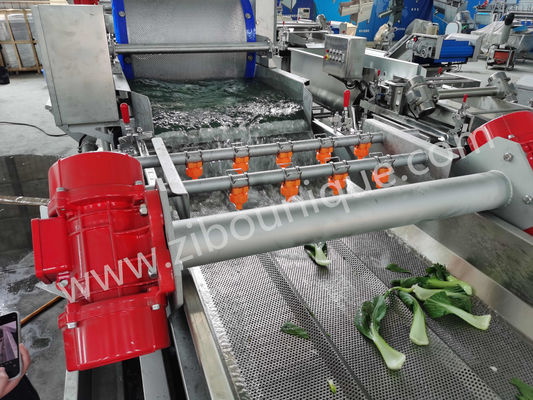 Máquina de lavado de repollo de acero inoxidable de 4,4 kW para esterilización de verduras y ensaladas