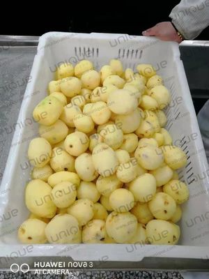 Máquina de lavado y pelado de patatas de tensión personalizada para industrias de procesamiento de alimentos