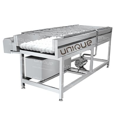Máquina de limpieza con cepillo de mango para pereja manzana zanahoria limpieza de barro 3000*1250*1350 mm