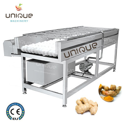 Máquina de limpieza con cepillo de mango para pereja manzana zanahoria limpieza de barro 3000*1250*1350 mm
