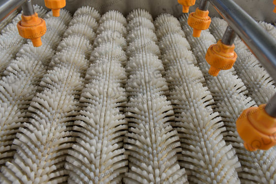Máquina de limpieza con cepillo de mango para pereja manzana zanahoria limpieza de barro 3000*1250*1350 mm