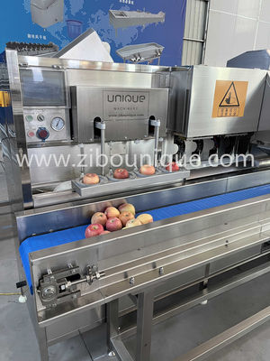 Máquina personalizada de corte de maíz y peras de acero inoxidable 304