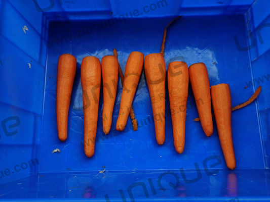 Máquina de exfoliación de acero inoxidable 304 para vegetales de raíz como papa, zanahoria y rábano