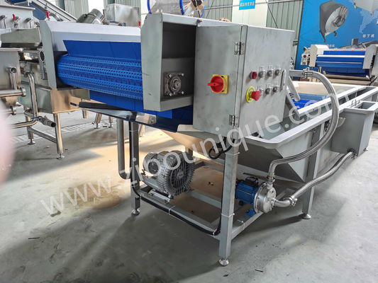 1000-1500 kg/h Capacidad Lavadora de frutas y hortalizas de hoja de ensalada