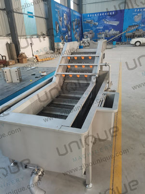 RQF Línea de producción de alimentos congelados Lavado Esterilización y congelación en una sola solución